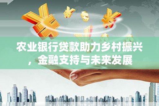 温岭农业银行贷款助力乡村振兴，金融支持与未来发展