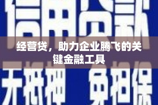 温岭经营贷，助力企业腾飞的关键金融工具