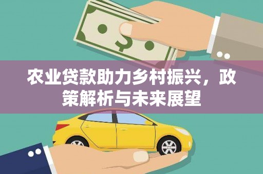 温岭农业贷款助力乡村振兴，政策解析与未来展望