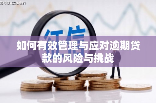 温岭如何有效管理与应对逾期贷款的风险与挑战