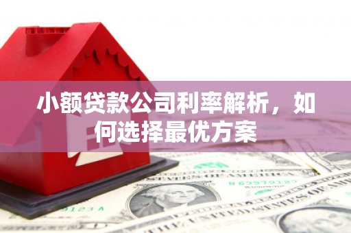 温岭小额贷款公司利率解析，如何选择最优方案