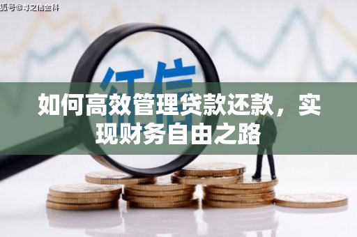 温岭如何高效管理贷款还款，实现财务自由之路