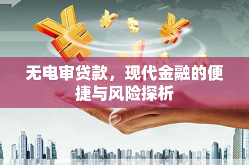 温岭无电审贷款，现代金融的便捷与风险探析