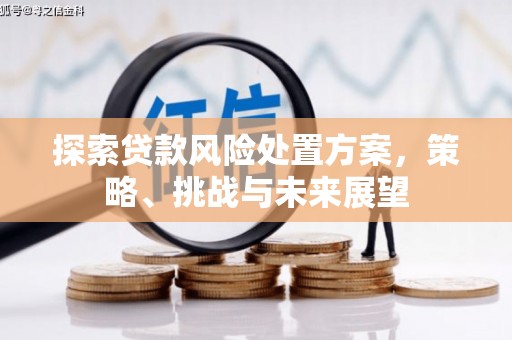 温岭探索贷款风险处置方案，策略、挑战与未来展望