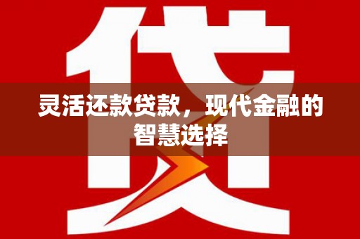 温岭灵活还款贷款，现代金融的智慧选择
