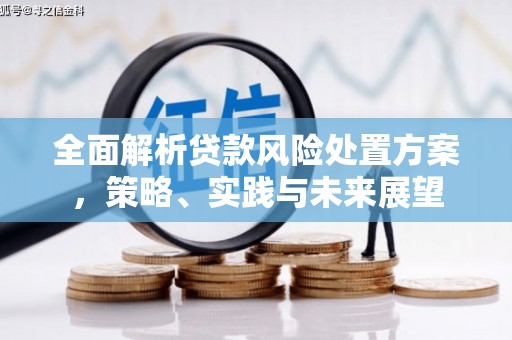 温岭全面解析贷款风险处置方案，策略、实践与未来展望