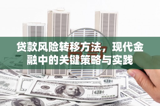 温岭贷款风险转移方法，现代金融中的关键策略与实践