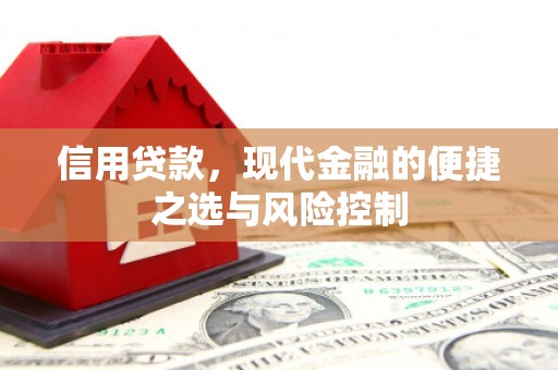 温岭信用贷款，现代金融的便捷之选与风险控制