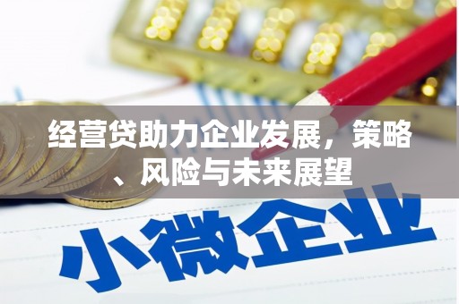 温岭经营贷助力企业发展，策略、风险与未来展望