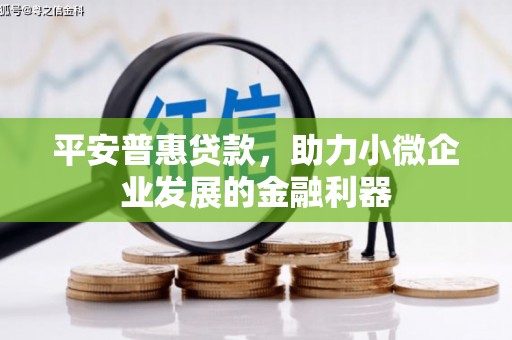 温岭平安普惠贷款，助力小微企业发展的金融利器