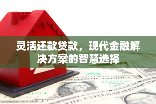 温岭灵活还款贷款，现代金融解决方案的智慧选择