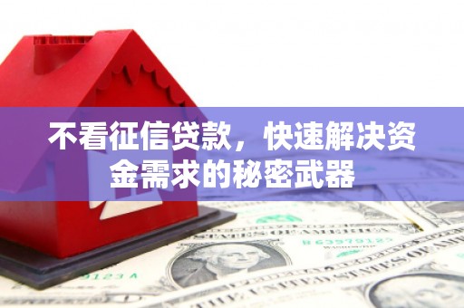 温岭不看征信贷款，快速解决资金需求的秘密武器