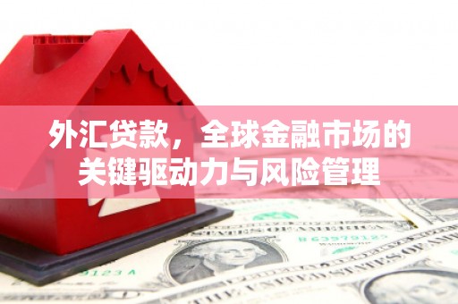 温岭外汇贷款，全球金融市场的关键驱动力与风险管理