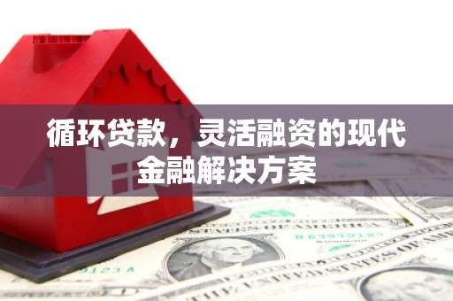 温岭循环贷款，灵活融资的现代金融解决方案