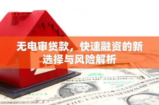 温岭无电审贷款，快速融资的新选择与风险解析