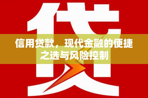 温岭信用贷款，现代金融的便捷之选与风险控制