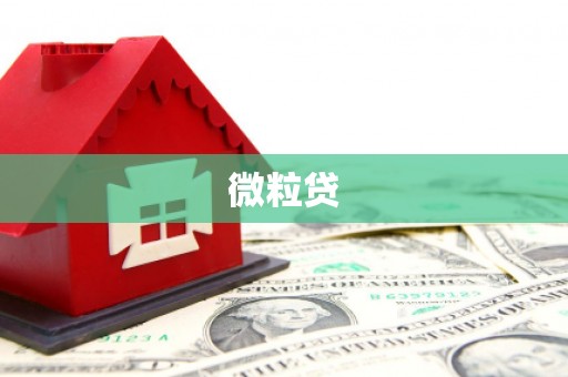 温岭微粒贷