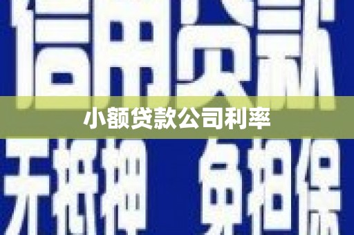 温岭小额贷款公司利率