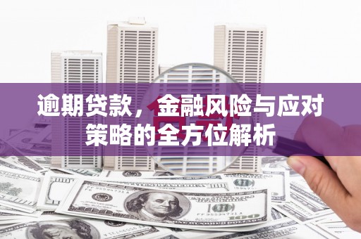 温岭逾期贷款，金融风险与应对策略的全方位解析