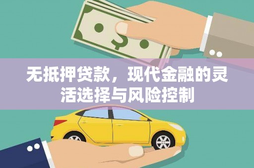 温岭无抵押贷款，现代金融的灵活选择与风险控制