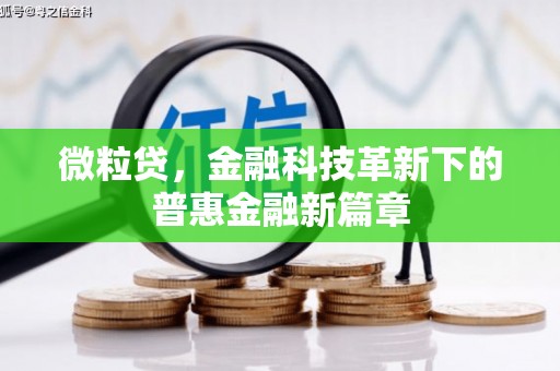 温岭微粒贷，金融科技革新下的普惠金融新篇章