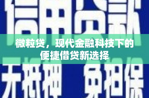 温岭微粒贷，现代金融科技下的便捷借贷新选择