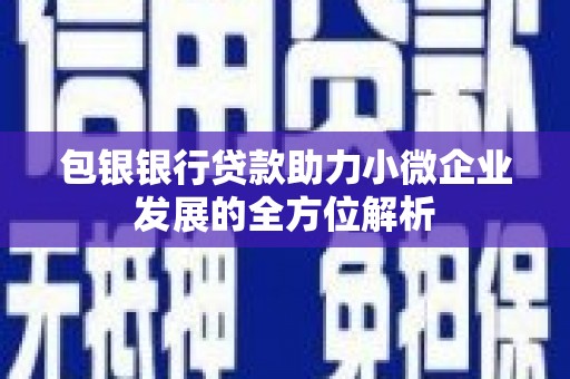 温岭包银银行贷款助力小微企业发展的全方位解析