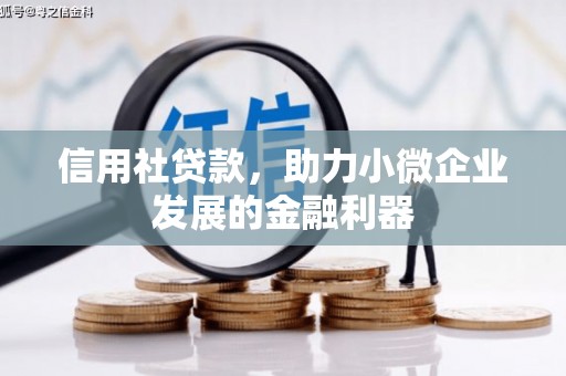 温岭信用社贷款，助力小微企业发展的金融利器