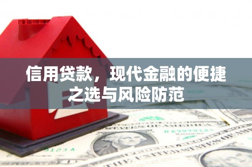 温岭信用贷款，现代金融的便捷之选与风险防范
