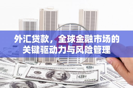 温岭外汇贷款，全球金融市场的关键驱动力与风险管理