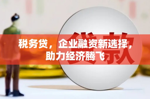 温岭税务贷，企业融资新选择，助力经济腾飞