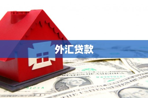 温岭外汇贷款