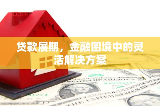 温岭贷款展期，金融困境中的灵活解决方案
