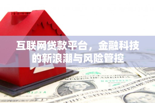 温岭互联网贷款平台，金融科技的新浪潮与风险管控