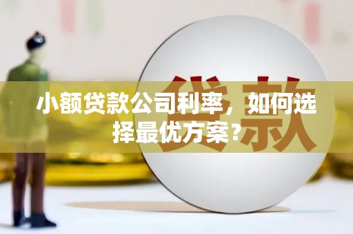 温岭小额贷款公司利率，如何选择最优方案？