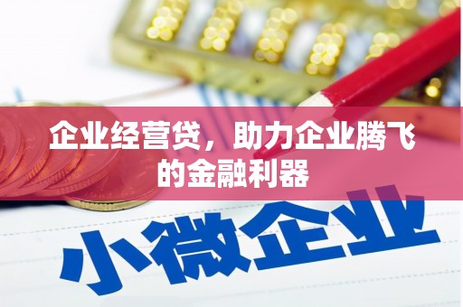 温岭企业经营贷，助力企业腾飞的金融利器