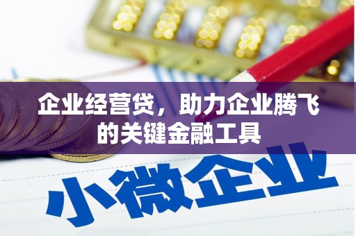 温岭企业经营贷，助力企业腾飞的关键金融工具