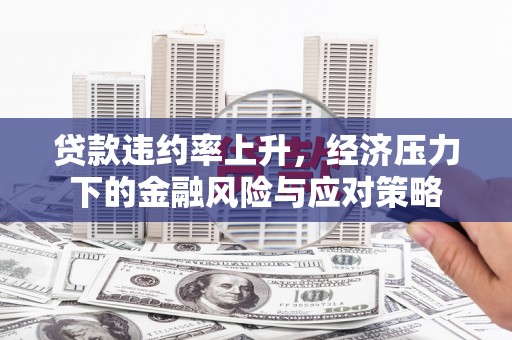 温岭贷款违约率上升，经济压力下的金融风险与应对策略