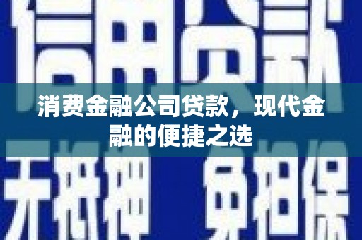 温岭消费金融公司贷款，现代金融的便捷之选