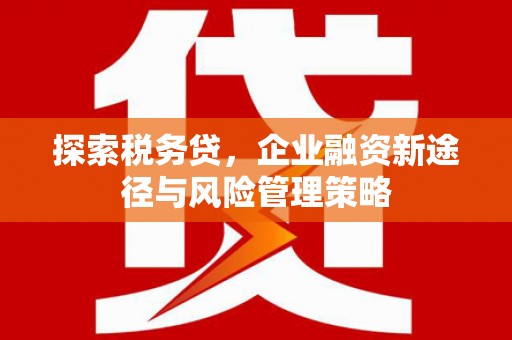 温岭探索税务贷，企业融资新途径与风险管理策略