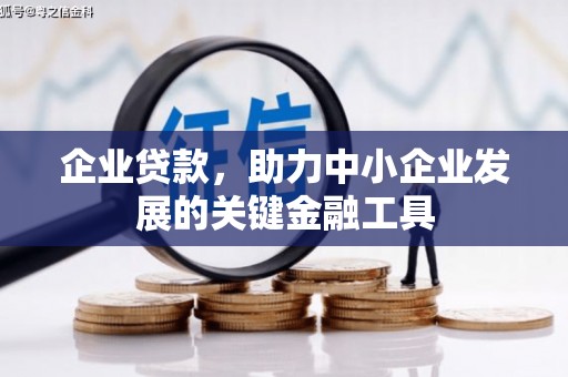 温岭企业贷款，助力中小企业发展的关键金融工具