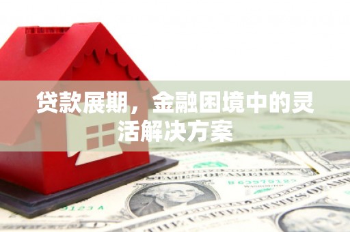 温岭贷款展期，金融困境中的灵活解决方案