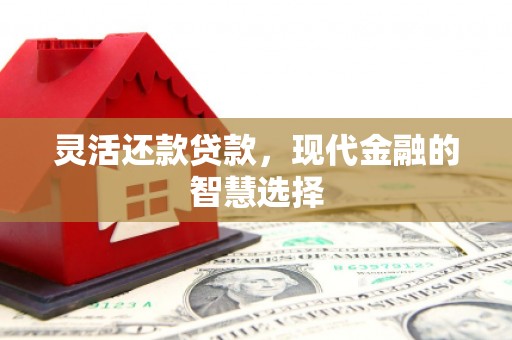 温岭灵活还款贷款，现代金融的智慧选择