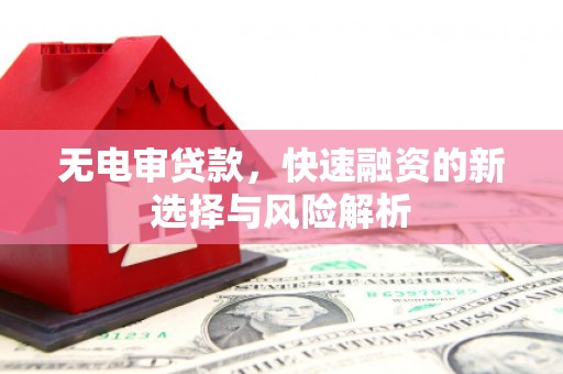 温岭无电审贷款，快速融资的新选择与风险解析