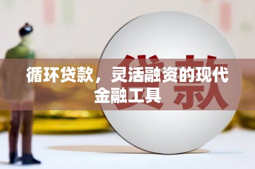 温岭循环贷款，灵活融资的现代金融工具