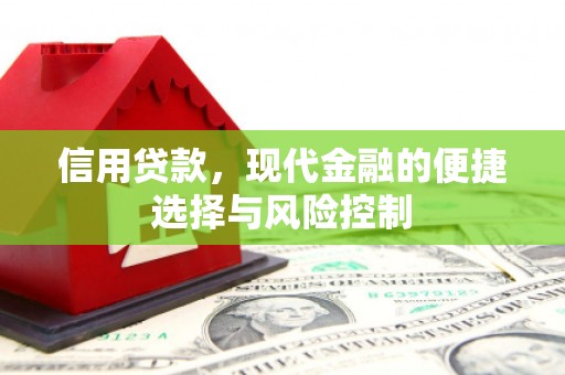 温岭信用贷款，现代金融的便捷选择与风险控制