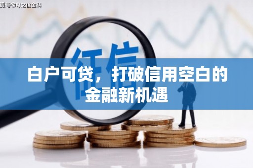 温岭白户可贷，打破信用空白的金融新机遇