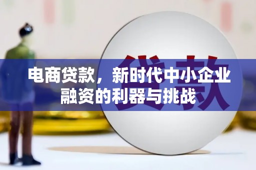 温岭电商贷款，新时代中小企业融资的利器与挑战
