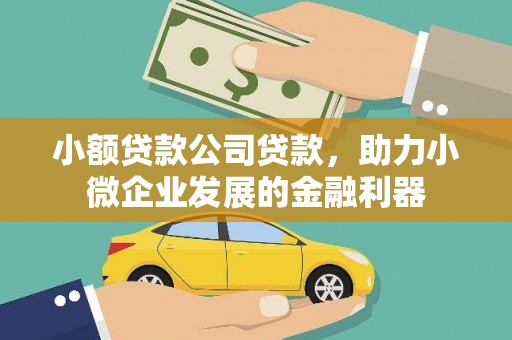 温岭小额贷款公司贷款，助力小微企业发展的金融利器