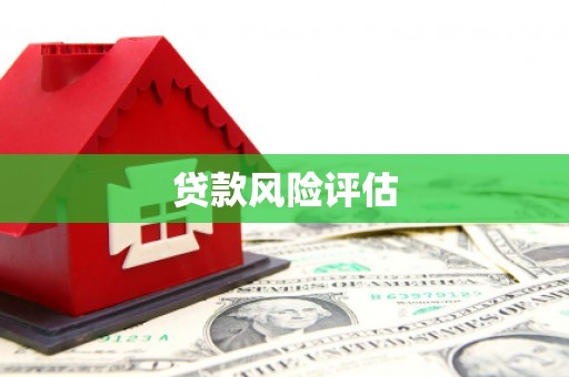 温岭贷款风险评估